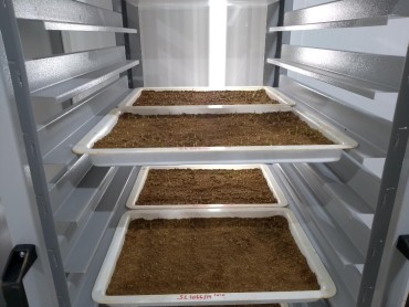 Bandeja em acrílico para germinação de grãos